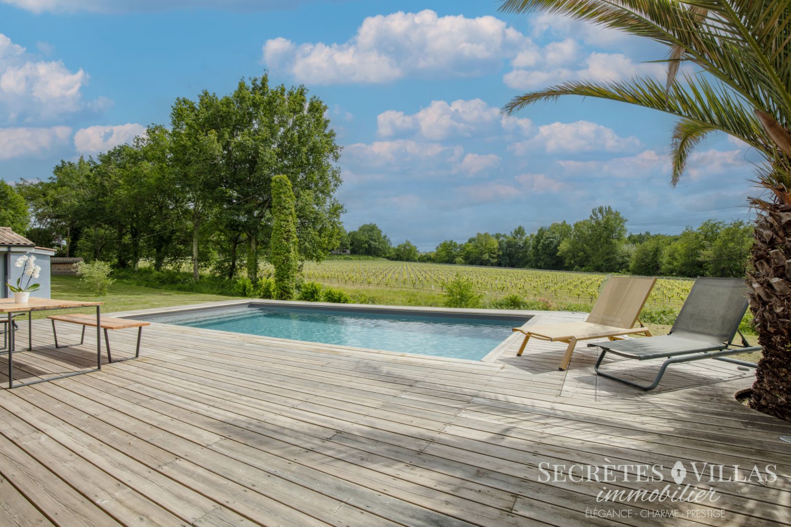 Photo SAINT LOUBES MAISON 170M2  PLAIN PIED SUR  5330M2 AVEC VUE image 6/6