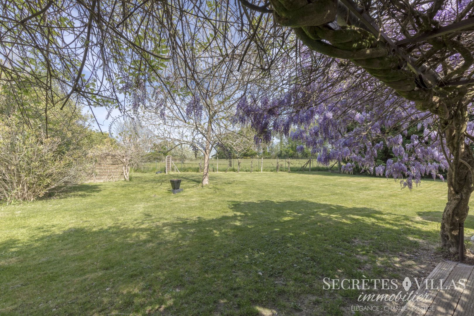 Photo CARIGNAN DE BDX MAISON PLAIN PIED 220M2 SUR 2725M2 ET PISCIN image 6/6