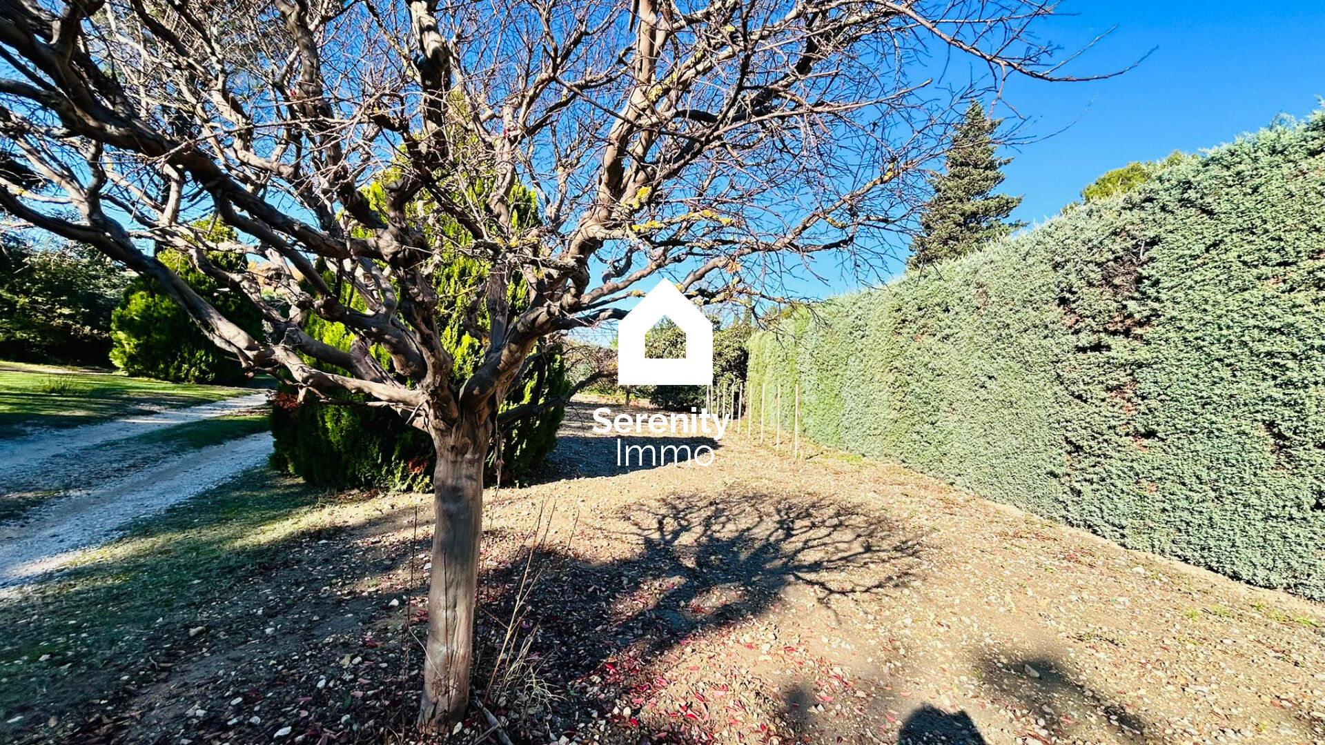 Bouc Bel Air (13320) Terrain de 500m² plat et arboré libre constructeur