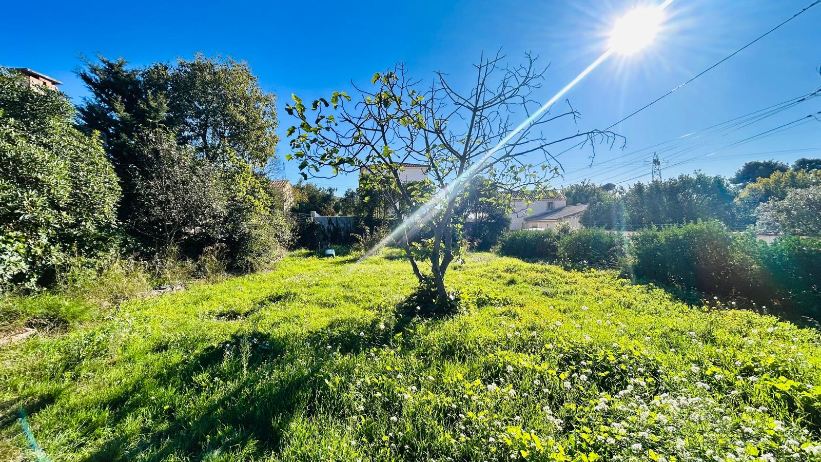 Terrain Septemes Les Vallons 296 m2 libre constructeur