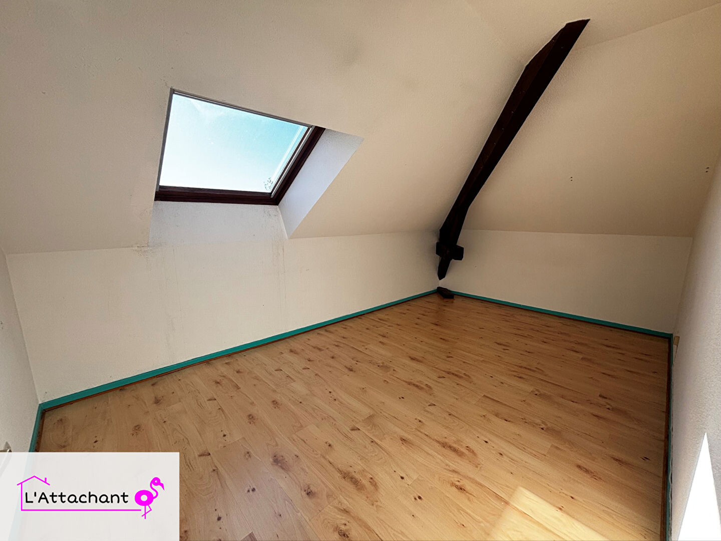 Photo L'Attachant image 4/6