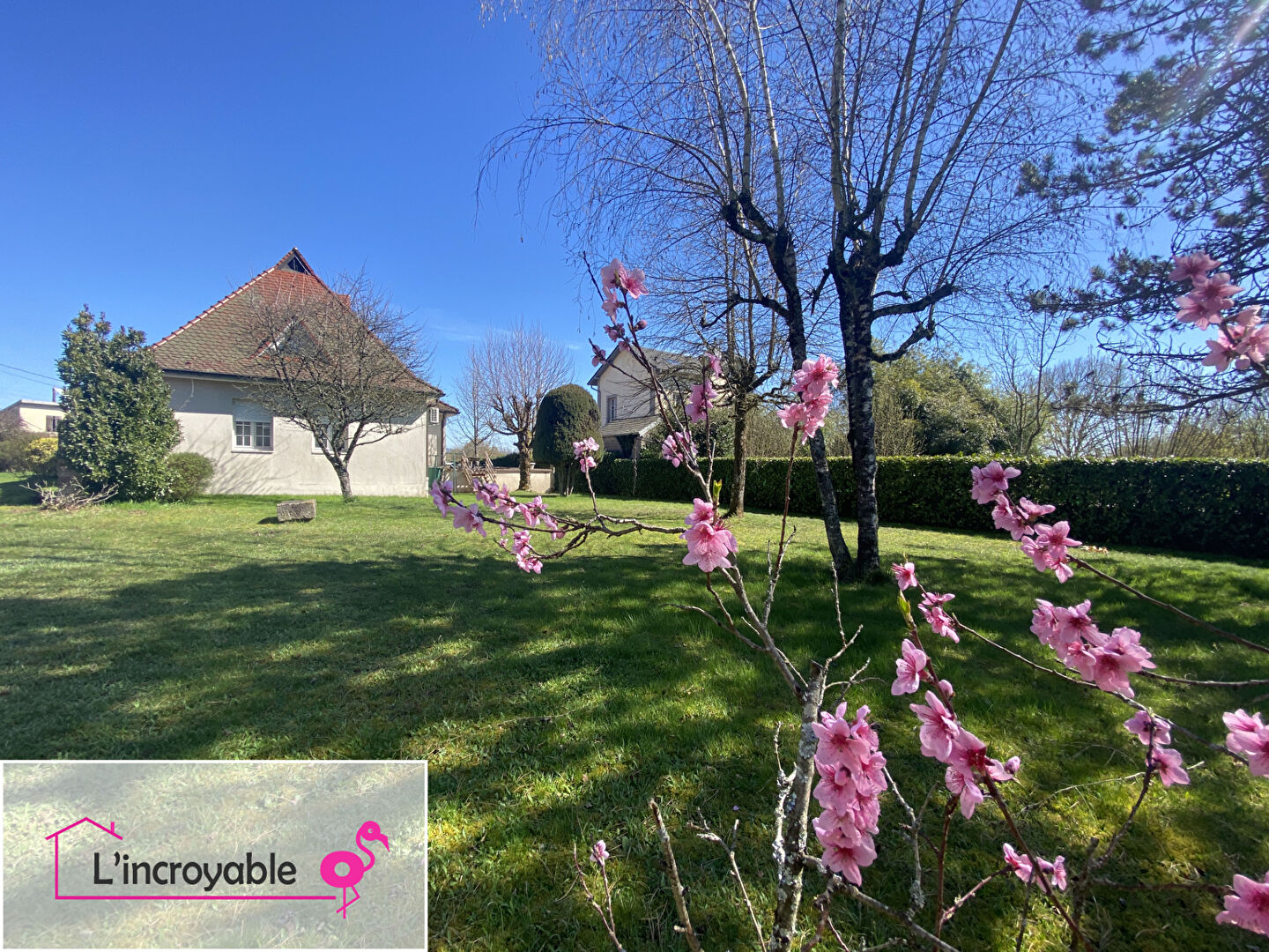 Photo L' Incroyable image 3/6