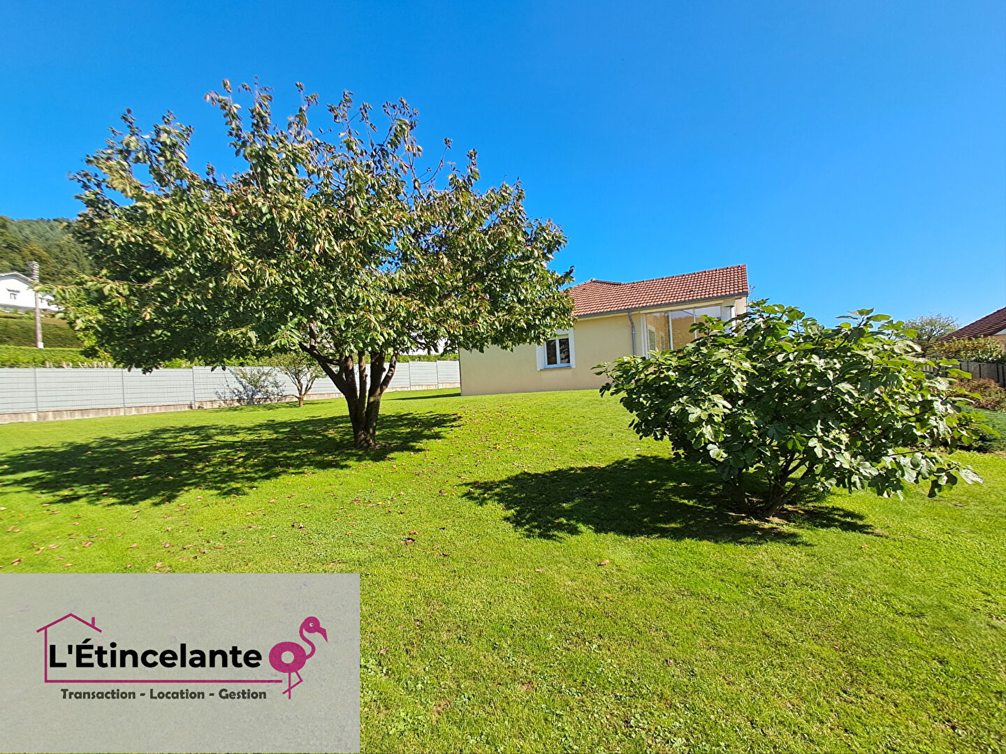 Photo L'étincelante image 4/6