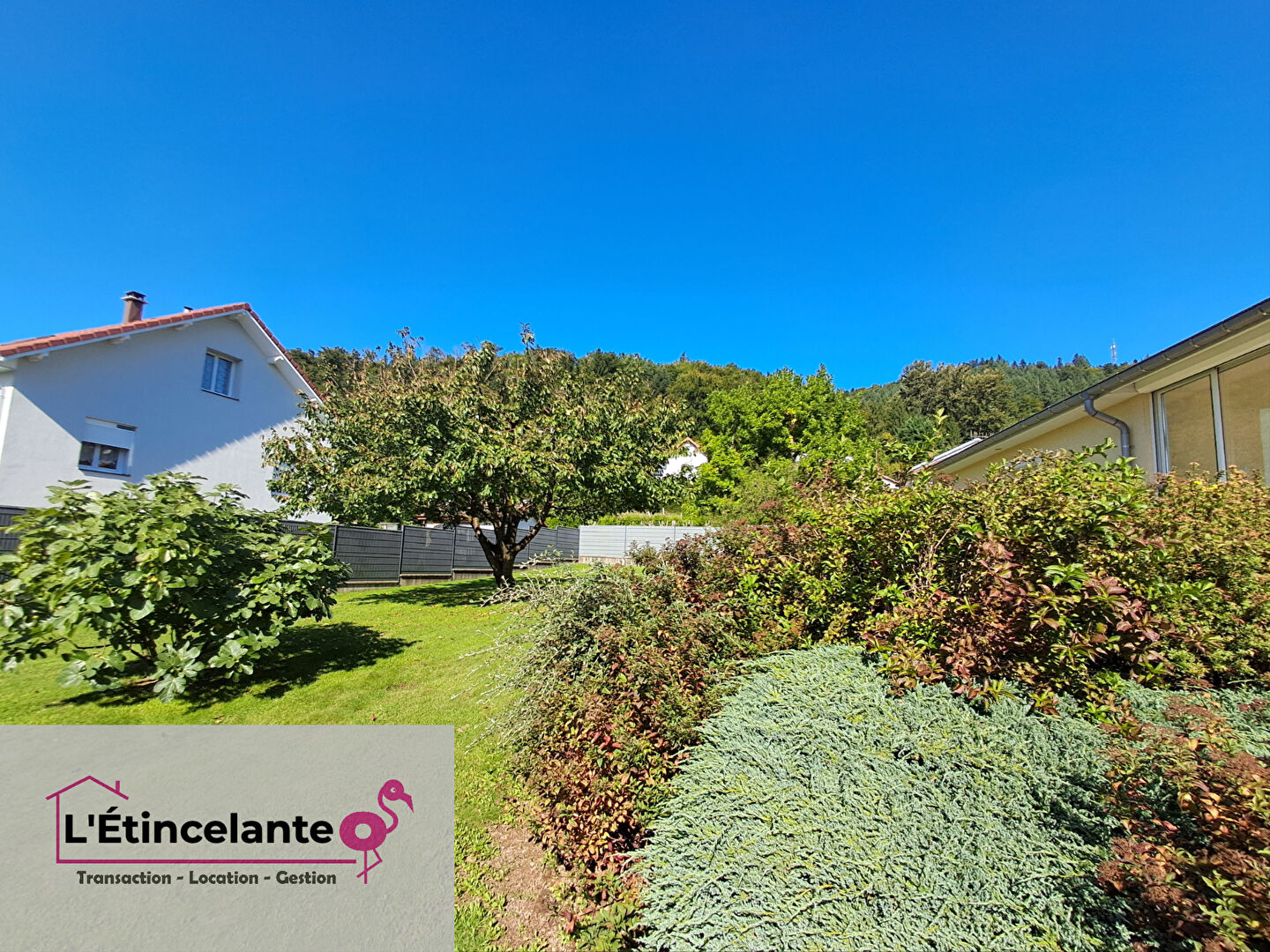 Photo L'étincelante image 5/6