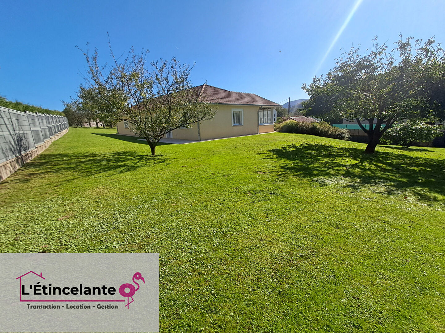 Photo L'étincelante image 6/6