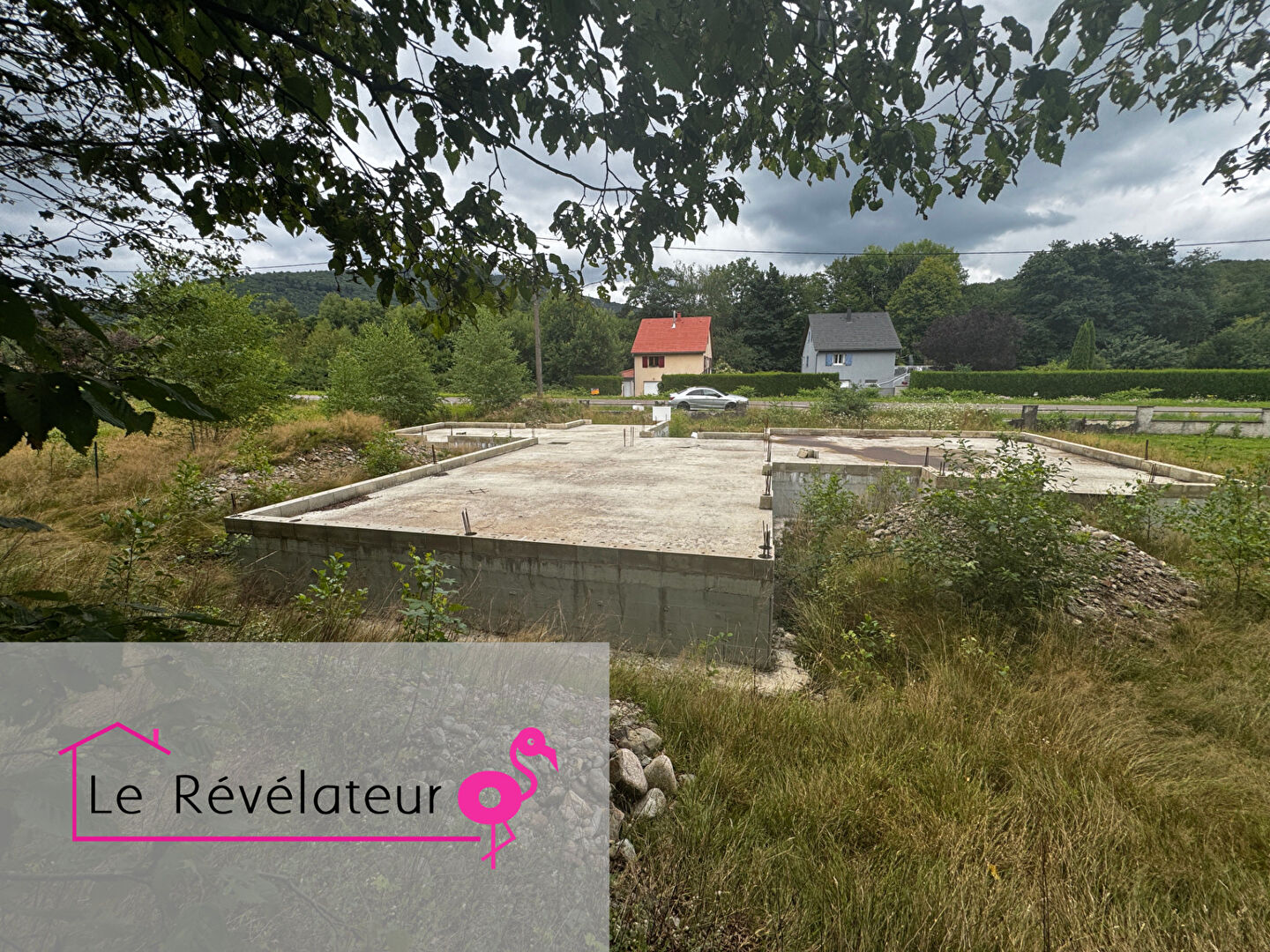 Photo Le Révélateur image 6/6