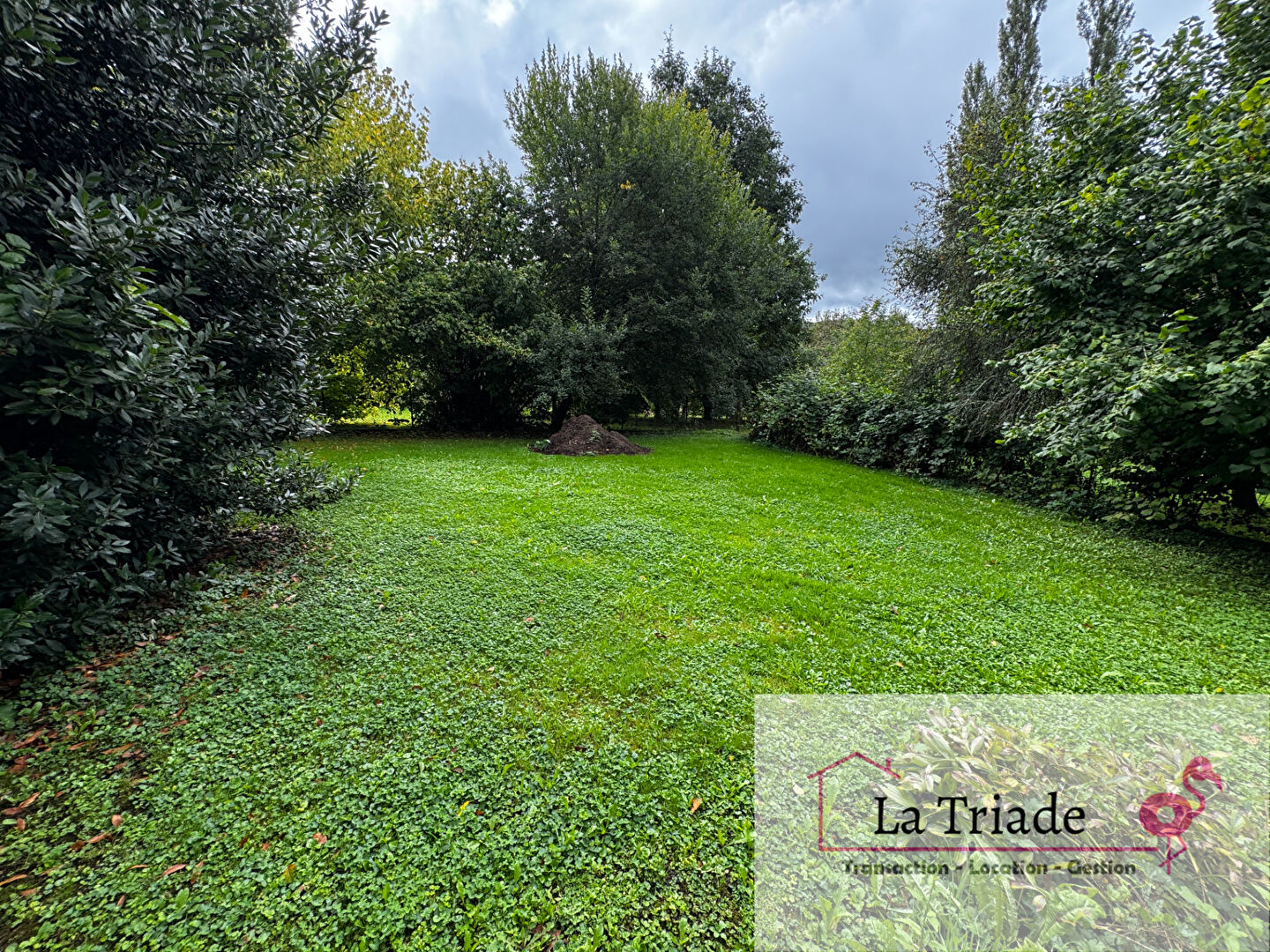 Agence immobilière de S-immo Luxeuil-les-Bains - S-immo