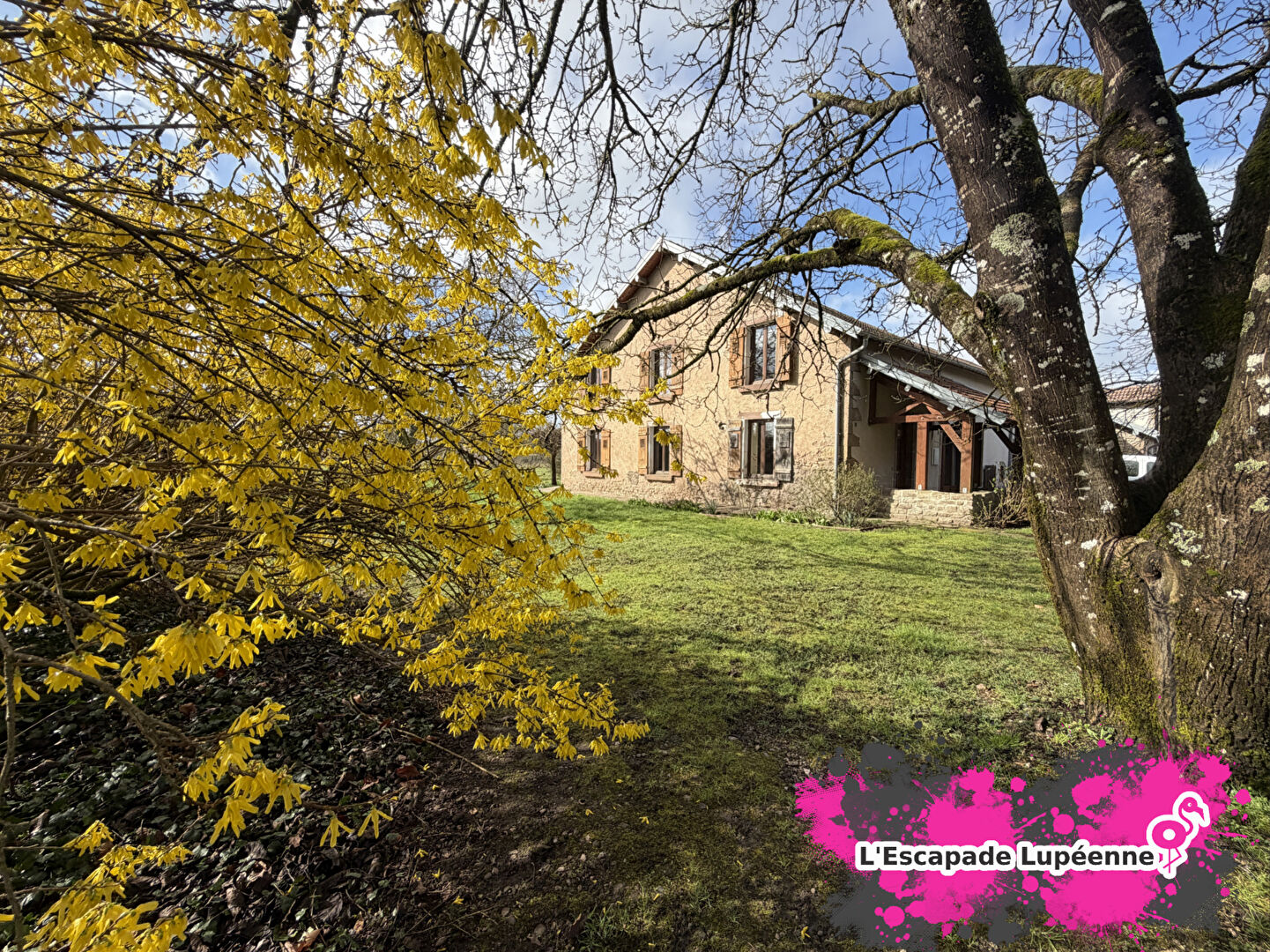 Agence immobilière de S-immo Luxeuil-les-Bains - S-immo