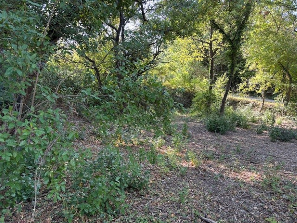 Photo Terrain à bâtir image 2/3