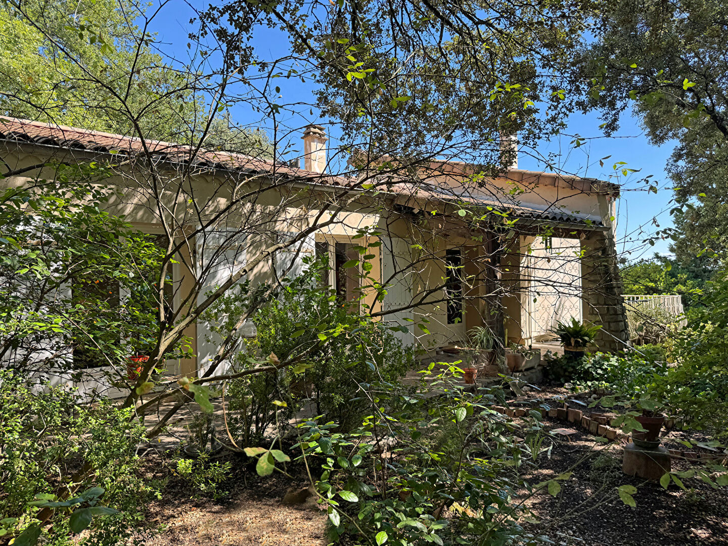 Photo Maison sur un terrain arboré de 12.000 m2, MALATAVERNE. image 1/6