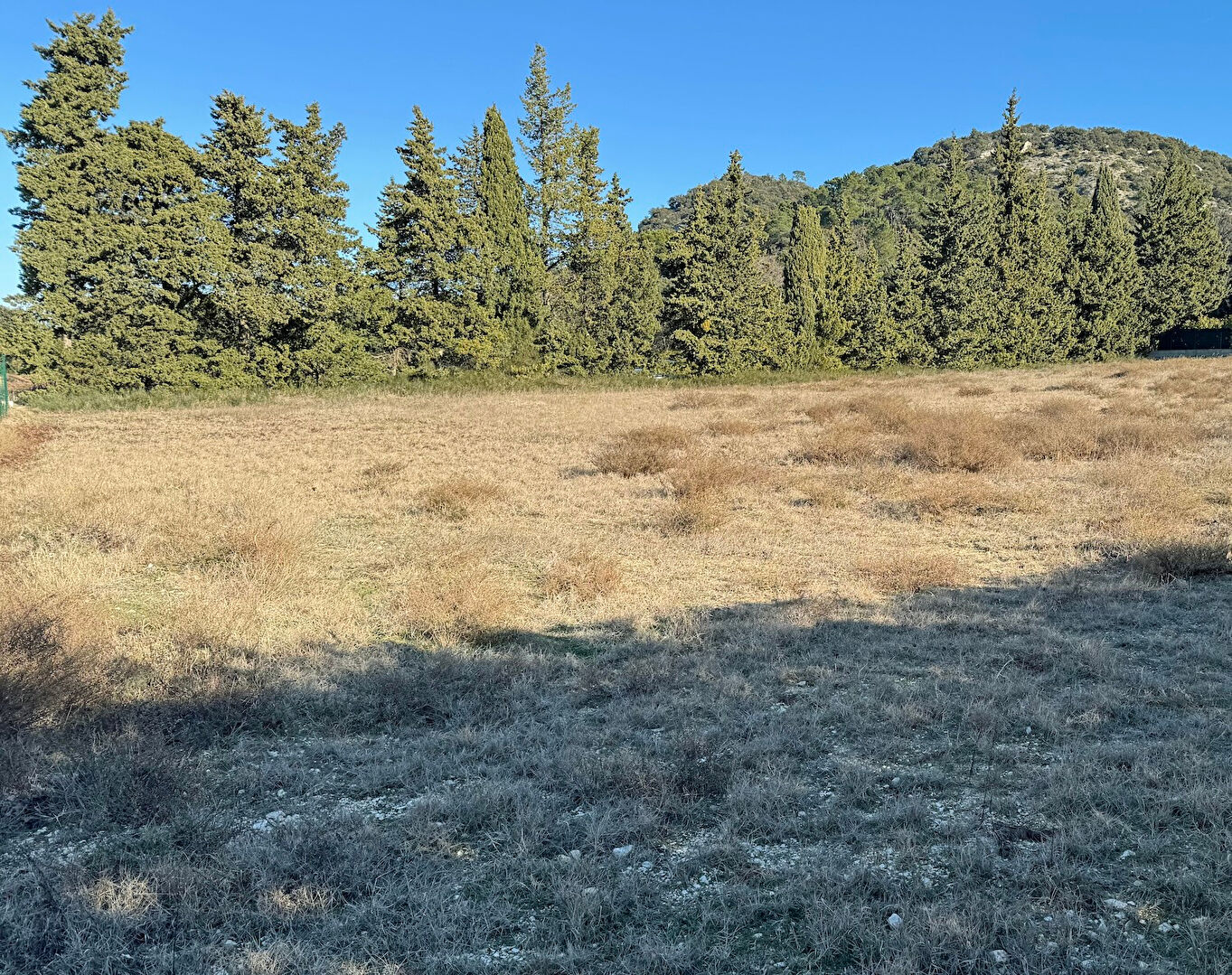 Agence immobilière de SOLIS IMMOBILIER Valaurie - SOLIS IMMOBILIER