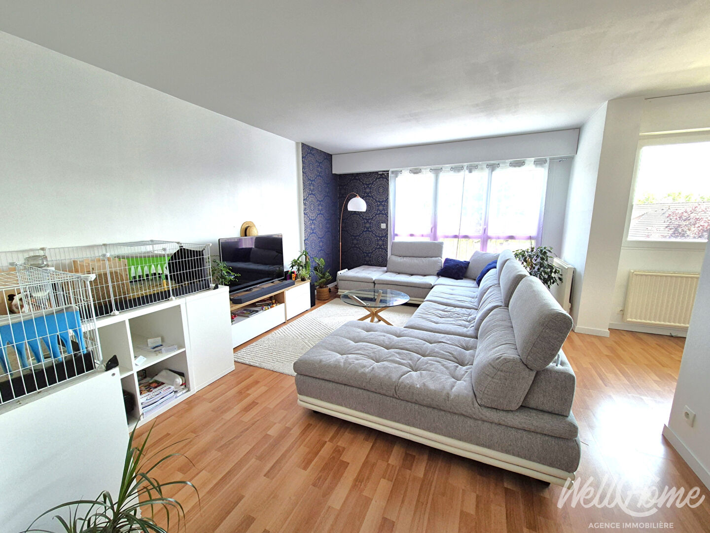 Agence immobilière de WELL-C-HOME IMMOBILIER