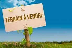 Agence immobilière de S'TEAM IMMO Niort - S'TEAM IMMO