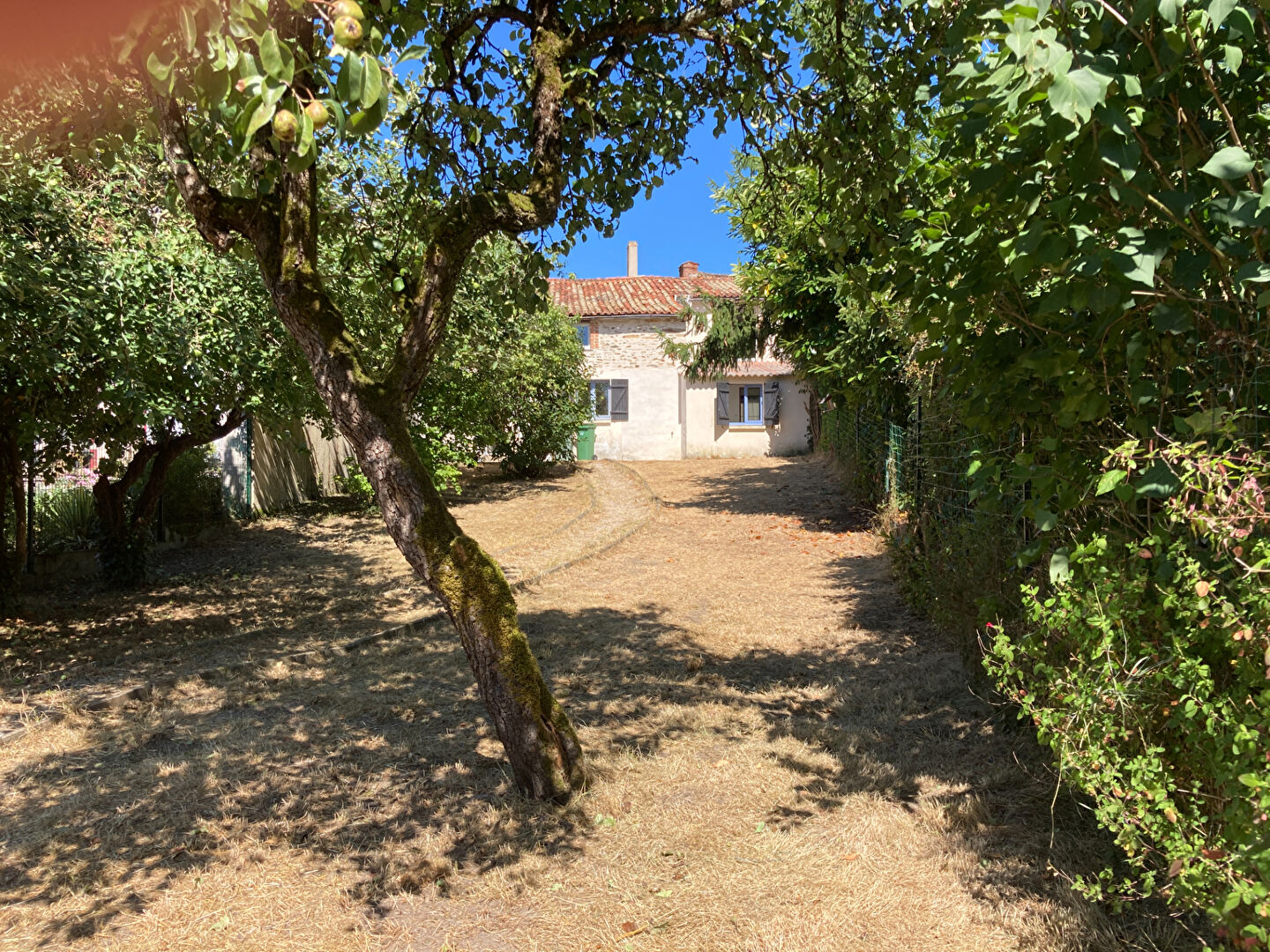 Agence immobilière de S'TEAM IMMO Niort - S'TEAM IMMO