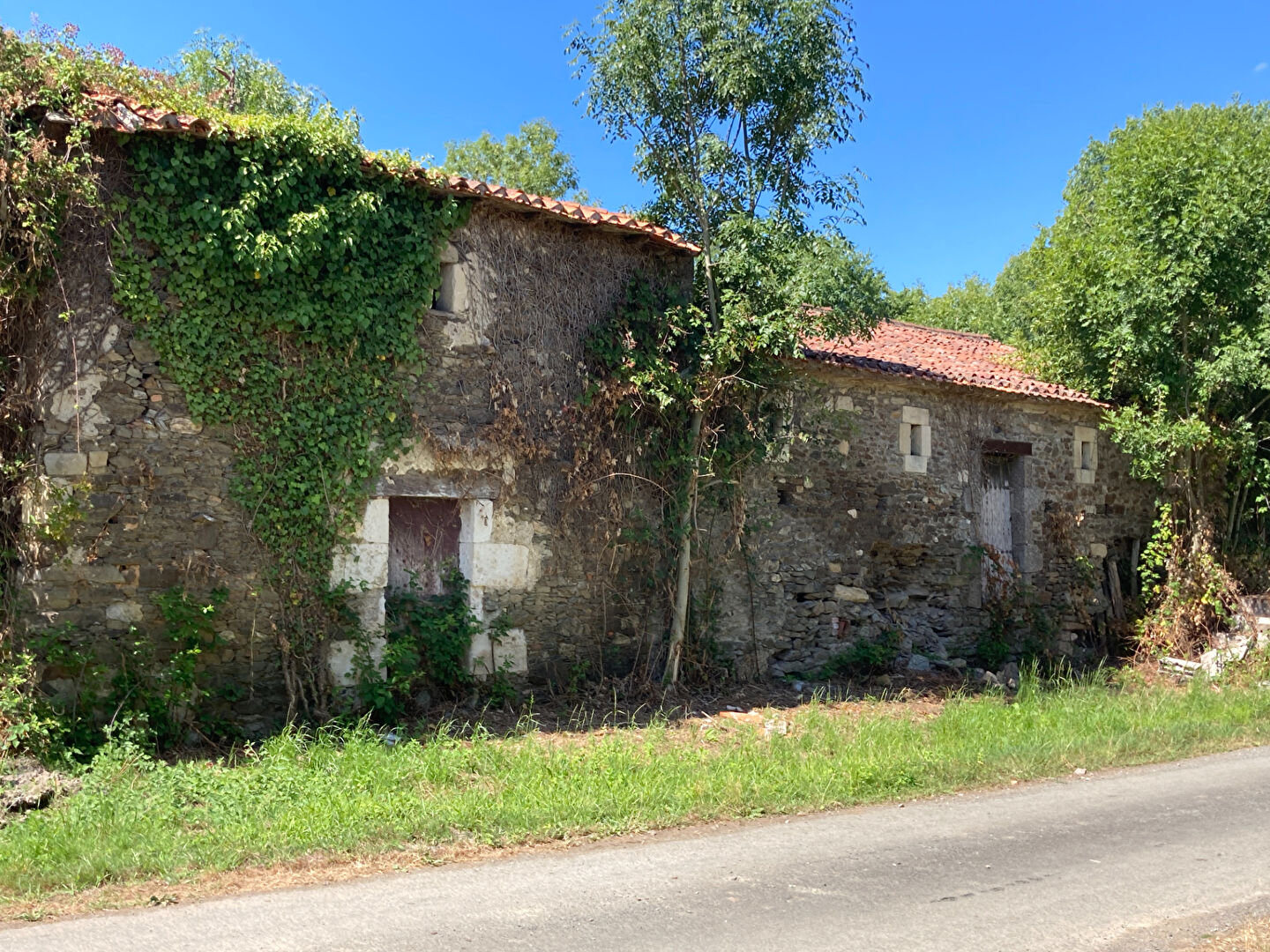 Agence immobilière de S'TEAM IMMO Niort - S'TEAM IMMO