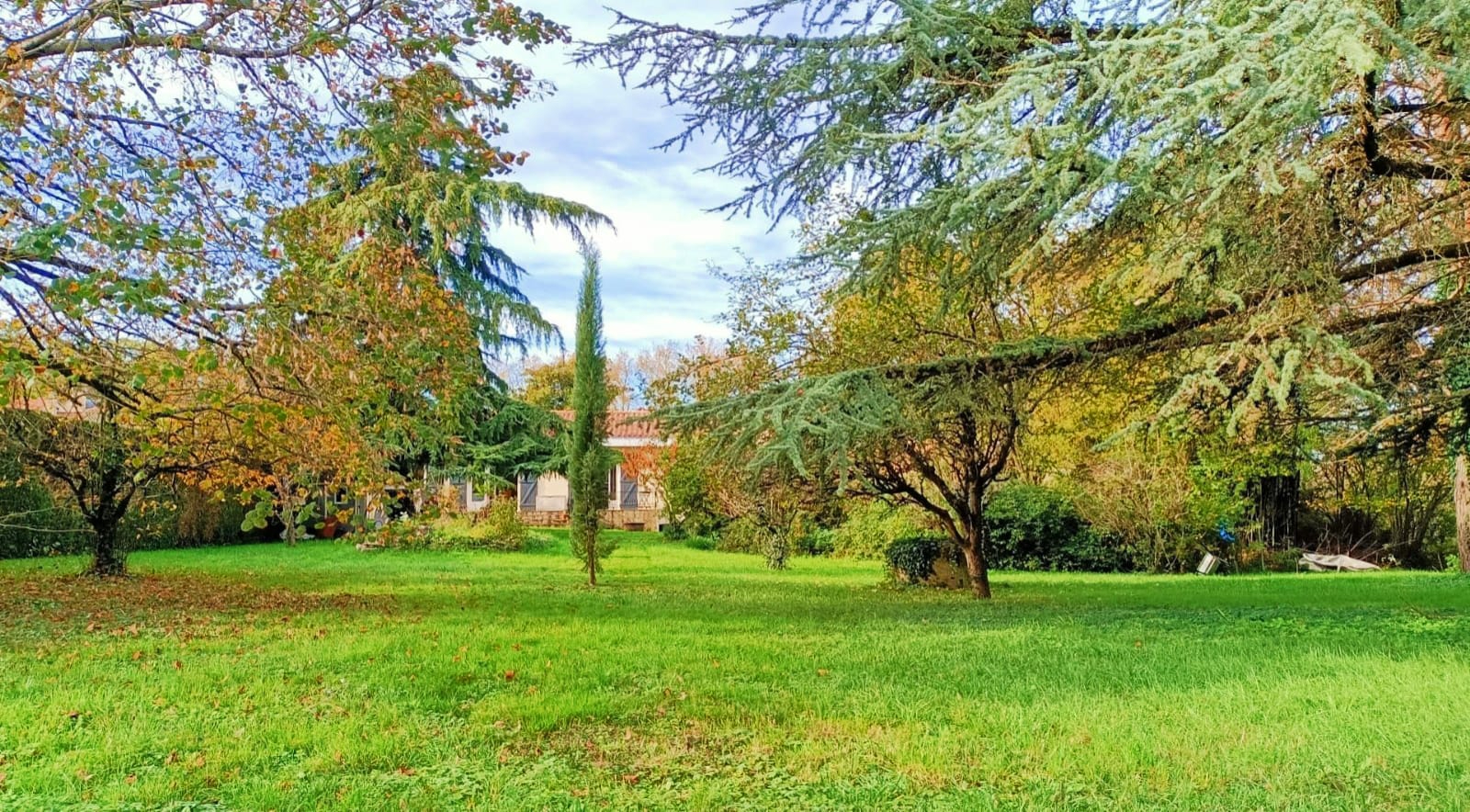 Agence immobilière de S'TEAM IMMO Niort - S'TEAM IMMO