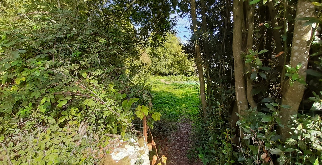 Terrain constructible d'environ 1000m² 79410 ECHIRE