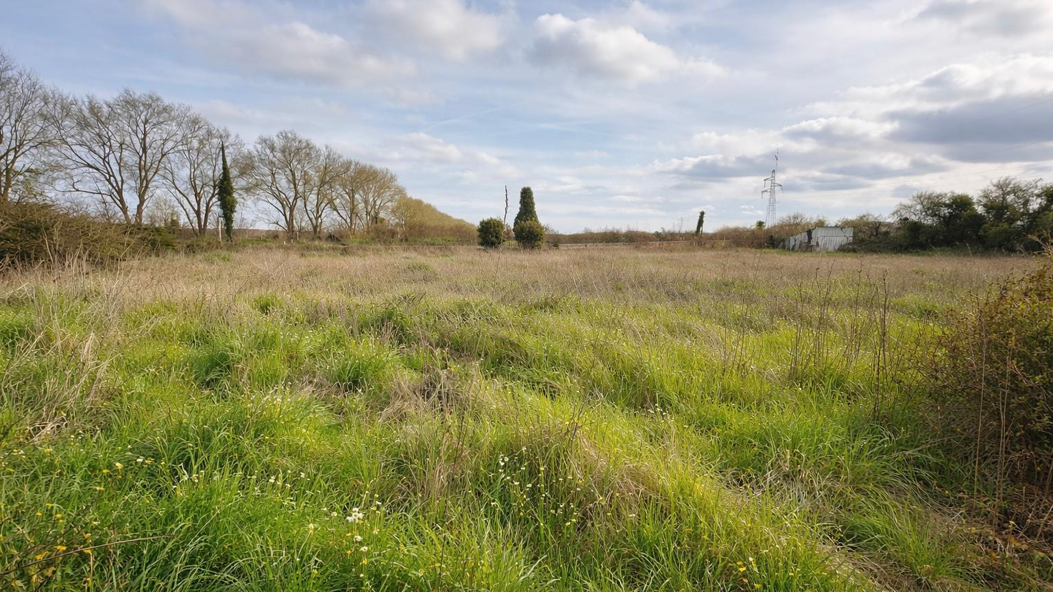 Agence immobilière de S'TEAM IMMO Niort - S'TEAM IMMO