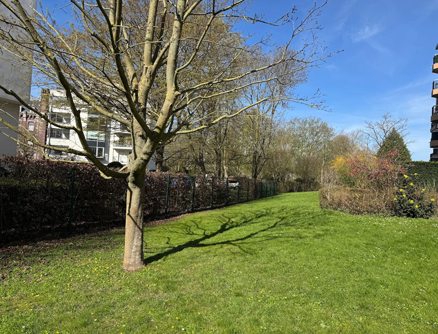 Agence immobilière de Stéphanie Bossaert Immobilier Lille - Stéphanie Bossaert Immobilier