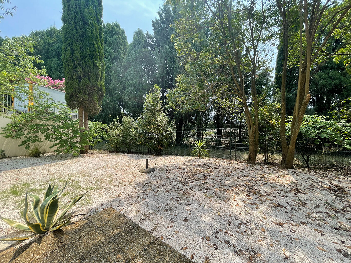 Agence immobilière de SV IMMO Montpellier - SV IMMO