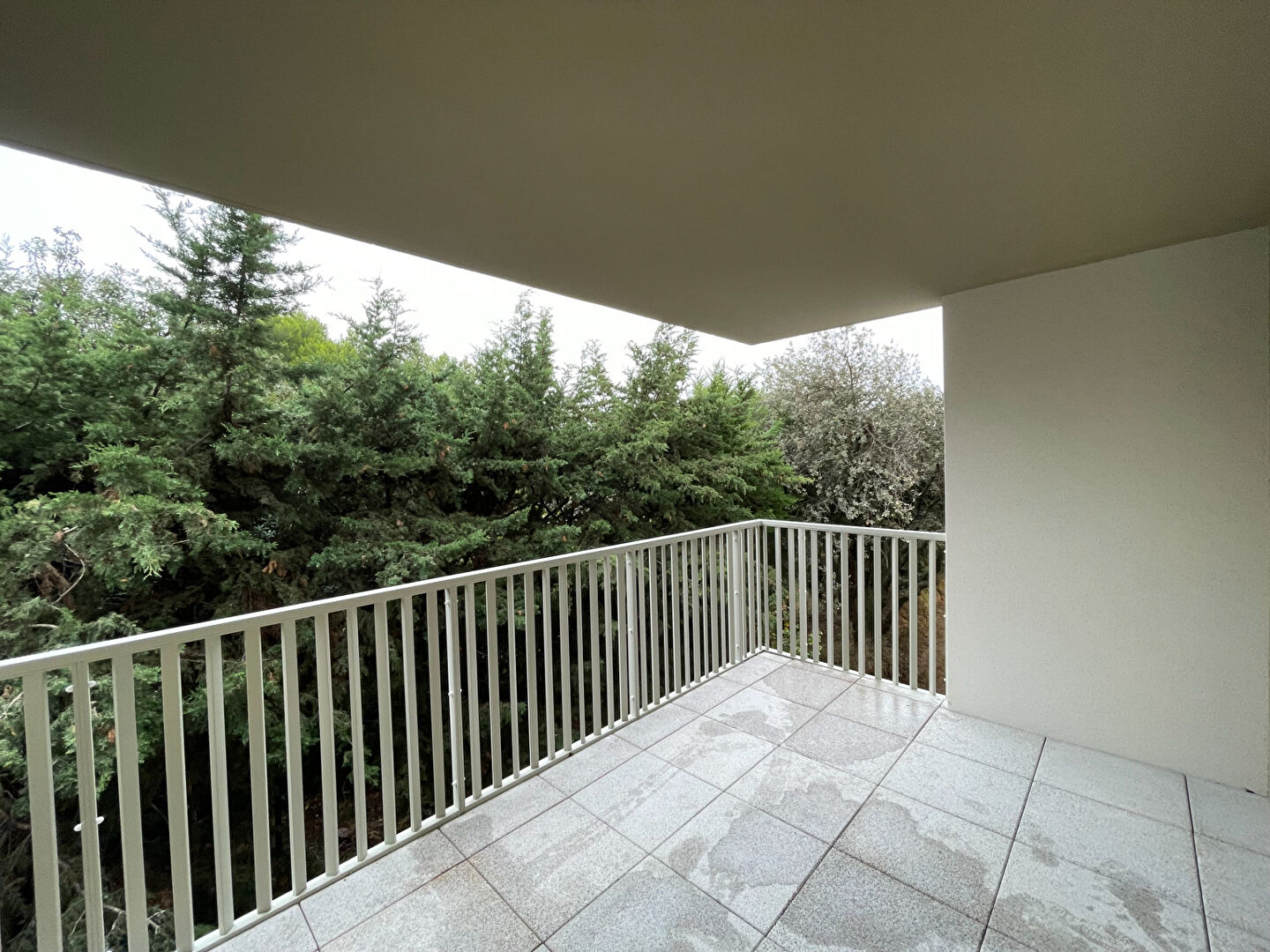 Agence immobilière de SV IMMO Montpellier - SV IMMO