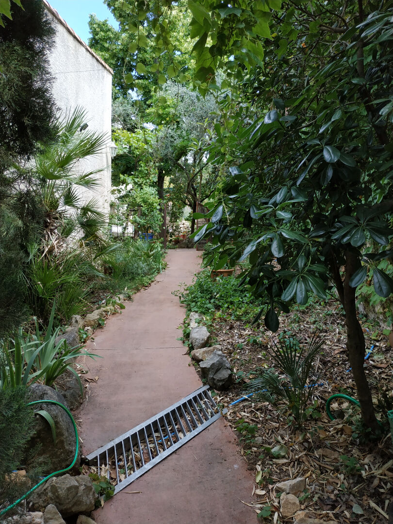 Photo MONTPELLIER AIGUELONGUE image 4/6