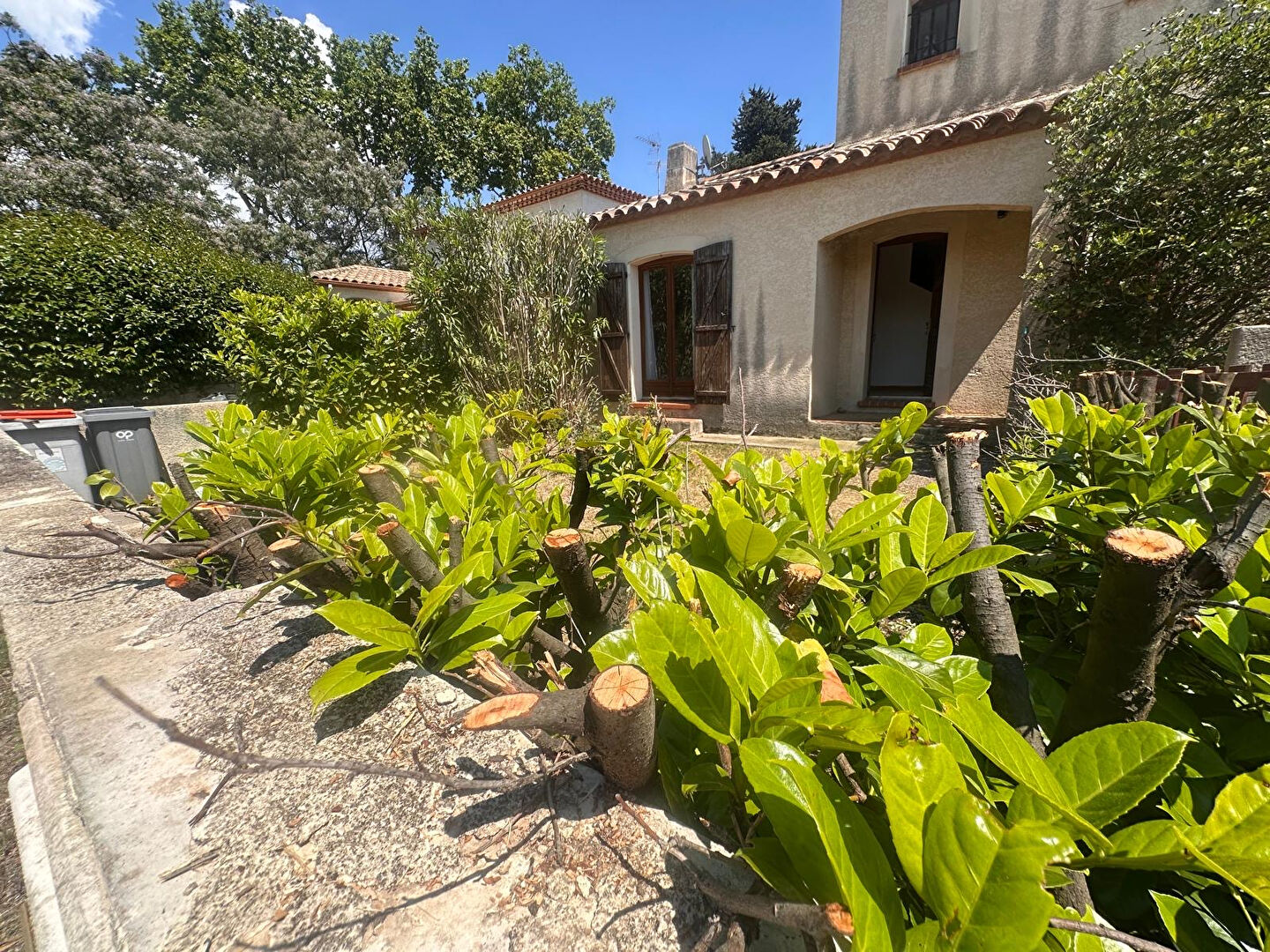 Agence immobilière de SV IMMO Montpellier - SV IMMO
