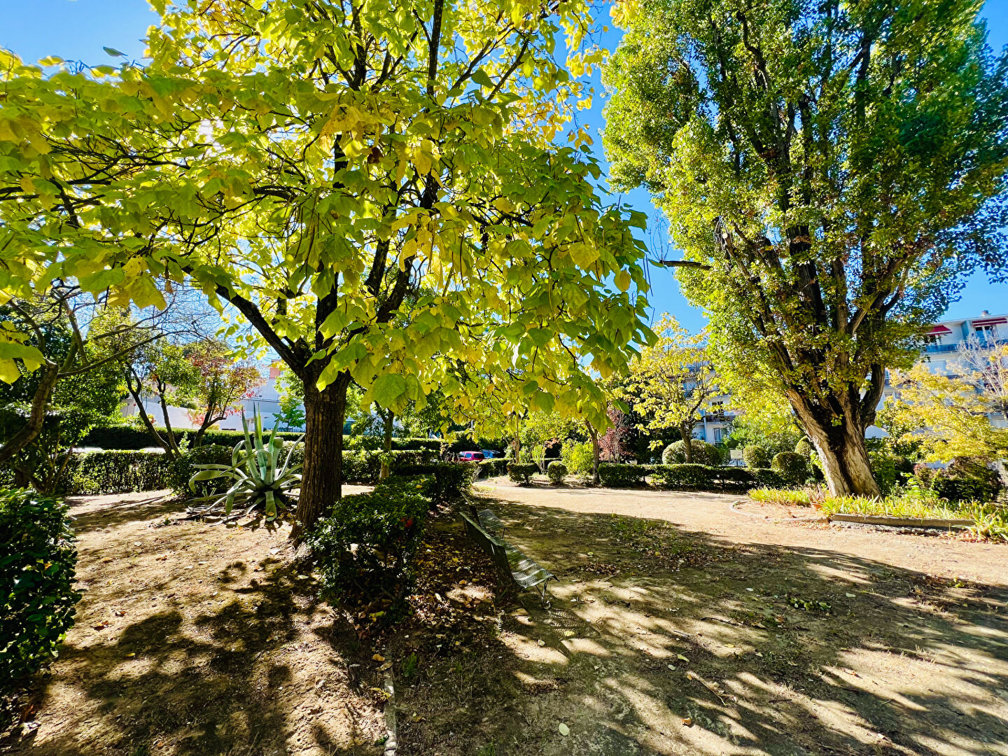 Agence immobilière de SV IMMO Montpellier - SV IMMO
