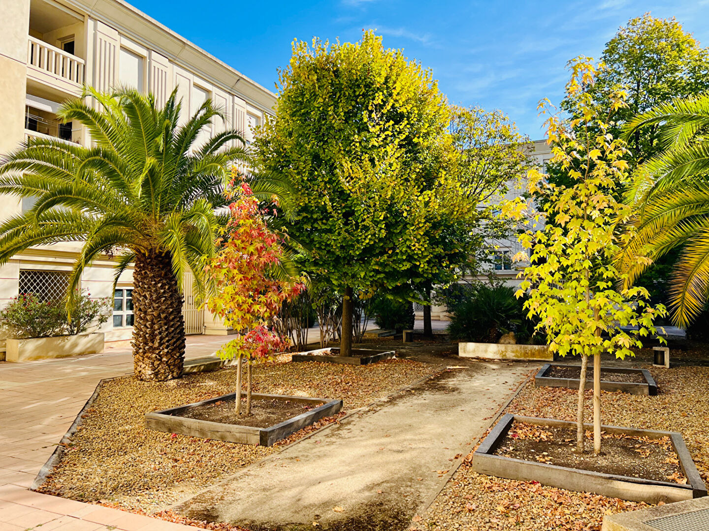 Agence immobilière de SV IMMO Montpellier - SV IMMO