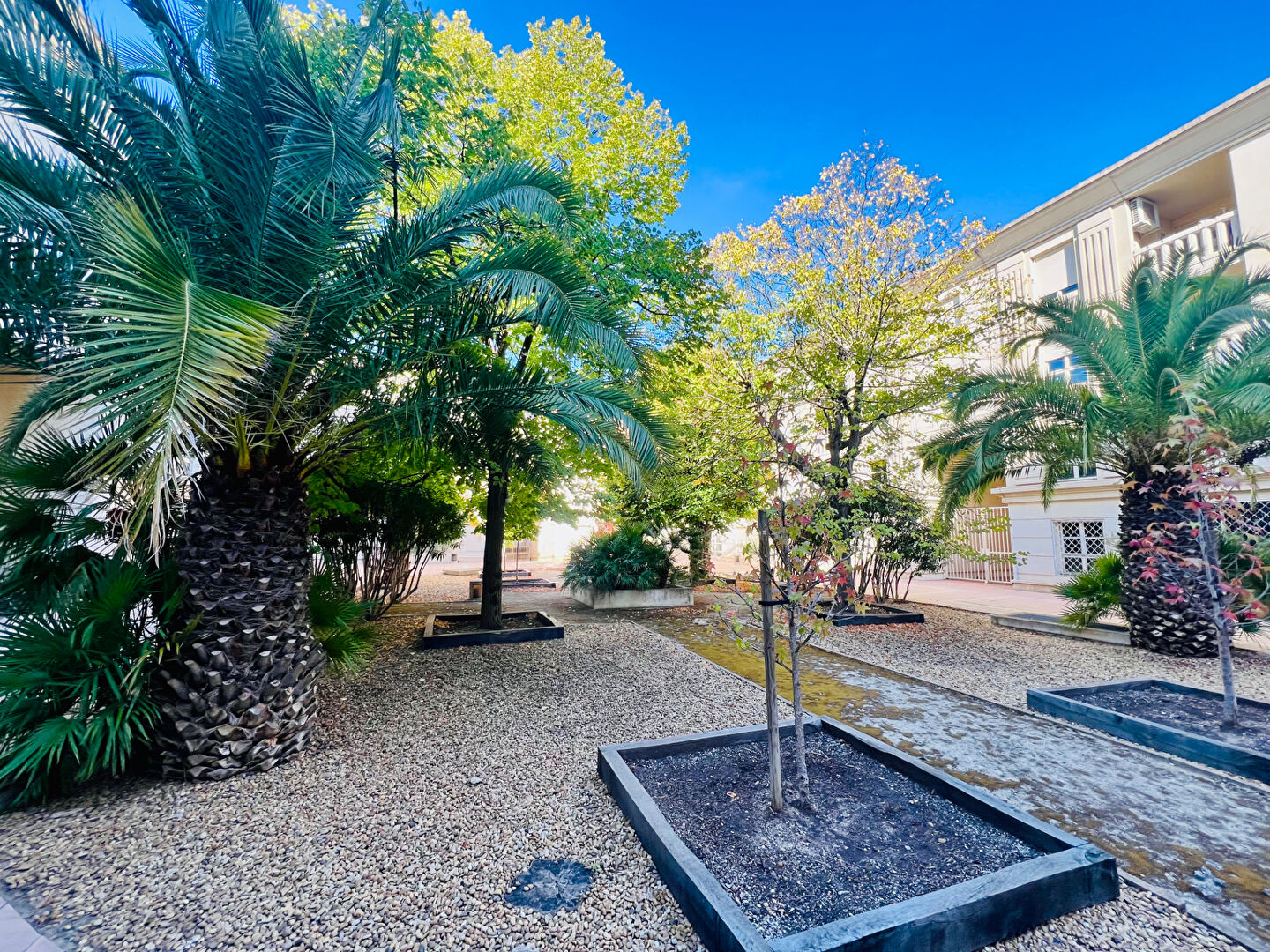 Photo MONTPELLIER ANTIGONE image 6/6