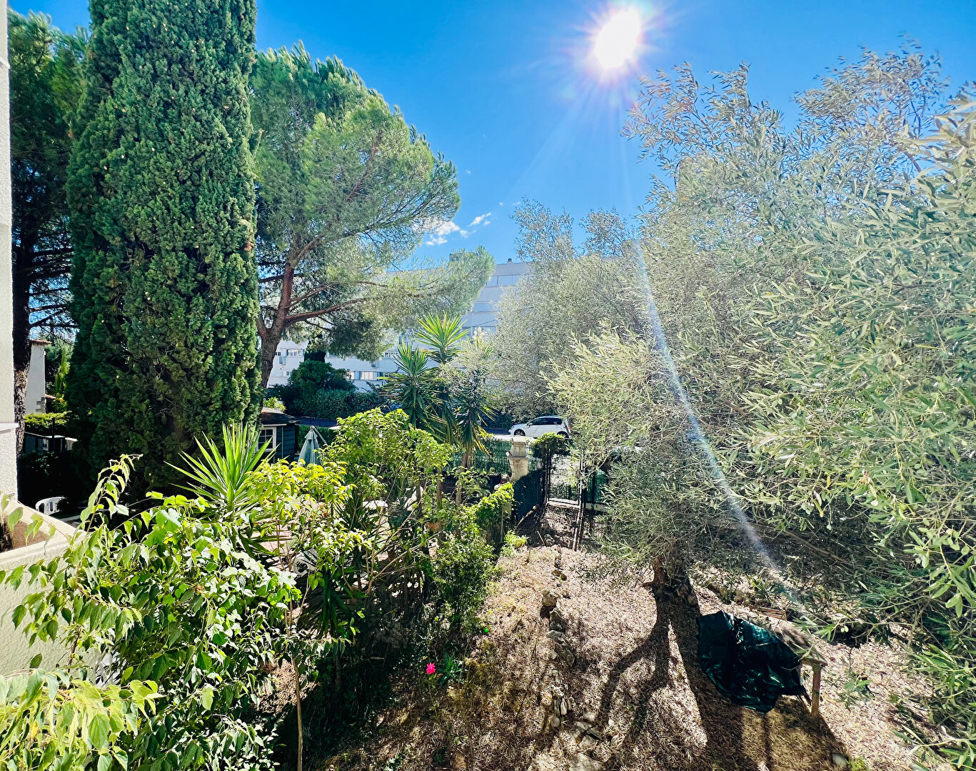 MONTPELLIER AGRICULTURE