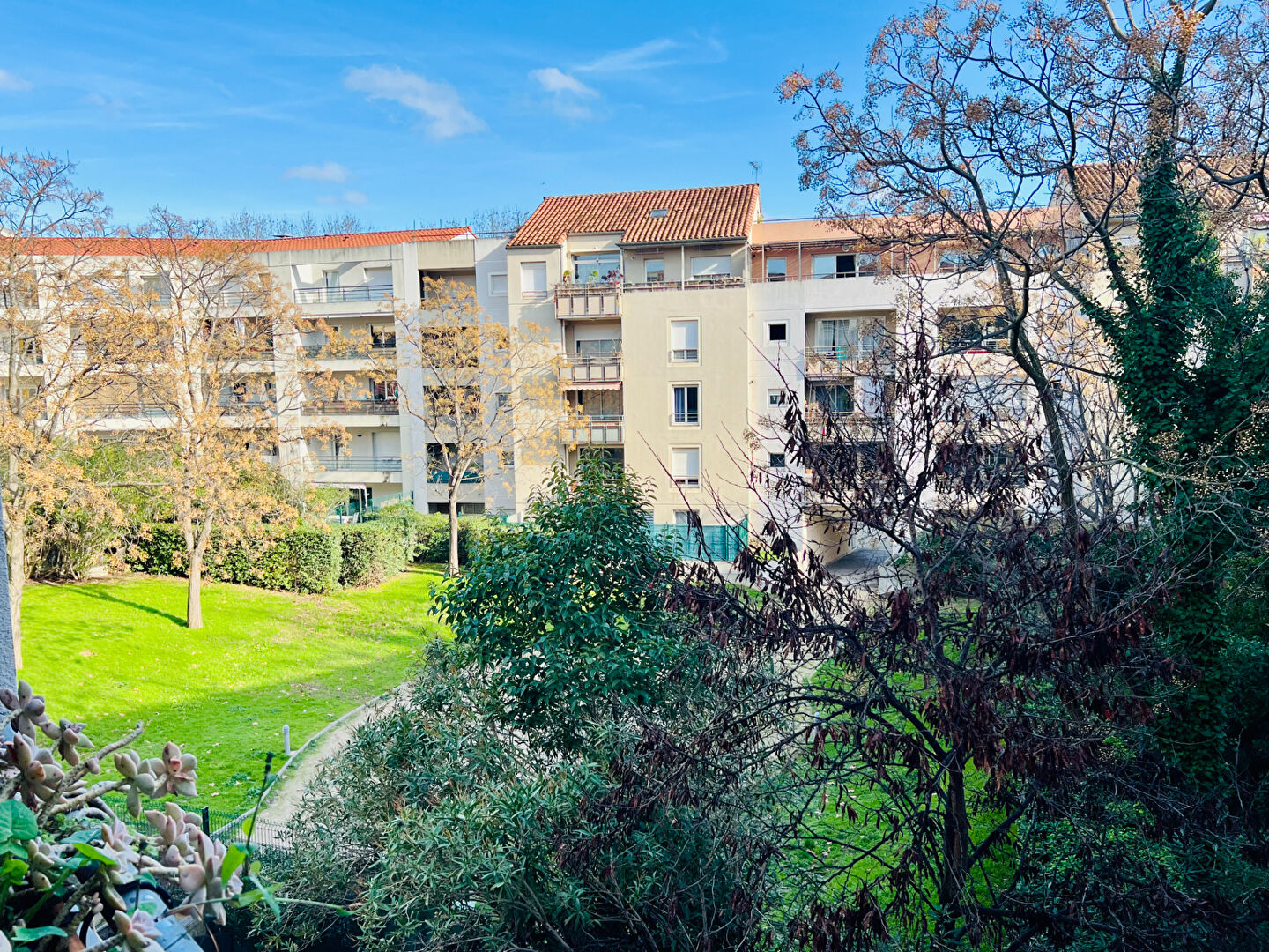 Agence immobilière de SV IMMO Montpellier - SV IMMO