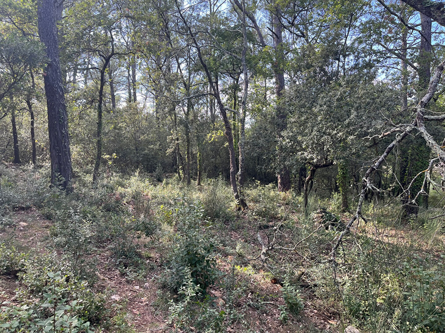 Photo Terrain a bâtir de1137 m2 en limite de zone naturel a Neoules image 2/4