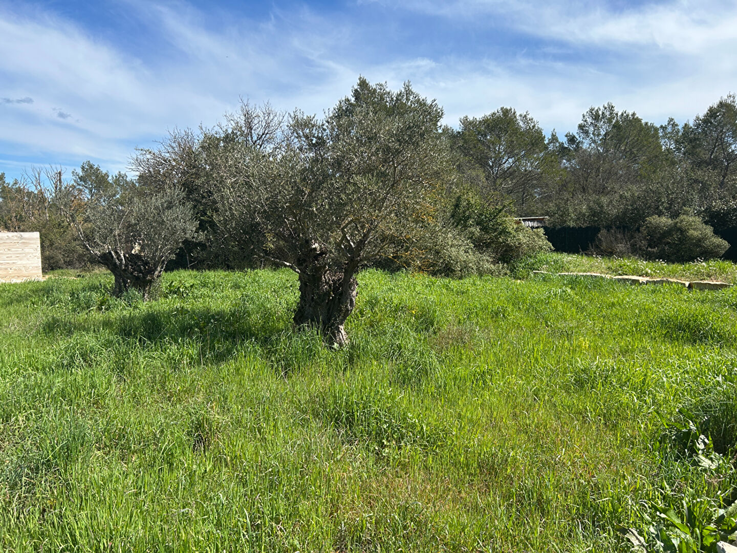 Photo ROCBARON : Maison 5 pièces 115.35 m2 habitables de plain pied édifiée sur 2300m² de terrain image 4/6