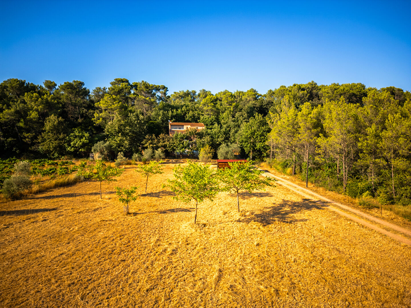 Photo VILLA LA ROQUEBRUSSANNE  6 pièces  165 m²  CADRE NATUREL SANS VIS À VIS - Possibilité de mettre des Chevaux image 4/6