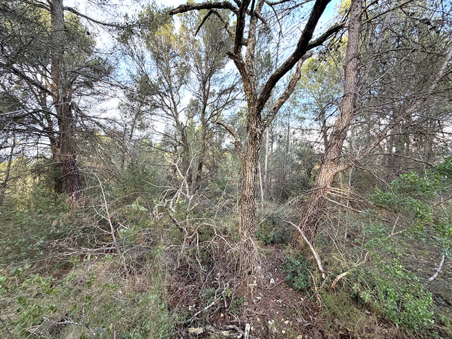 Agence immobilière de SWEET HOME - SWEET HOME ROCBARON