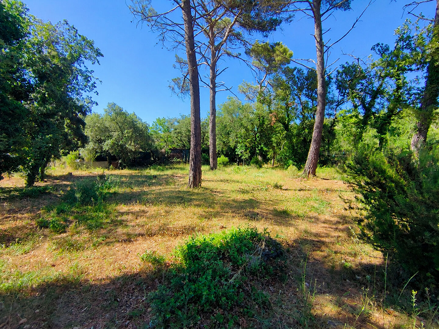Agence immobilière de SWEET HOME - SWEET HOME ROCBARON