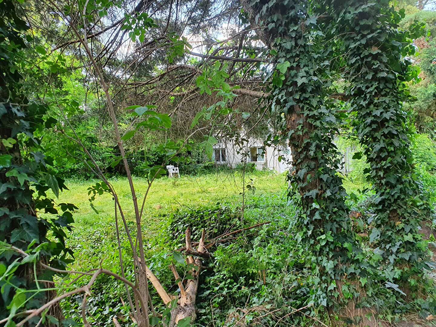 Agence immobilière de SWEET HOME Maisons-alfort - SWEET HOME