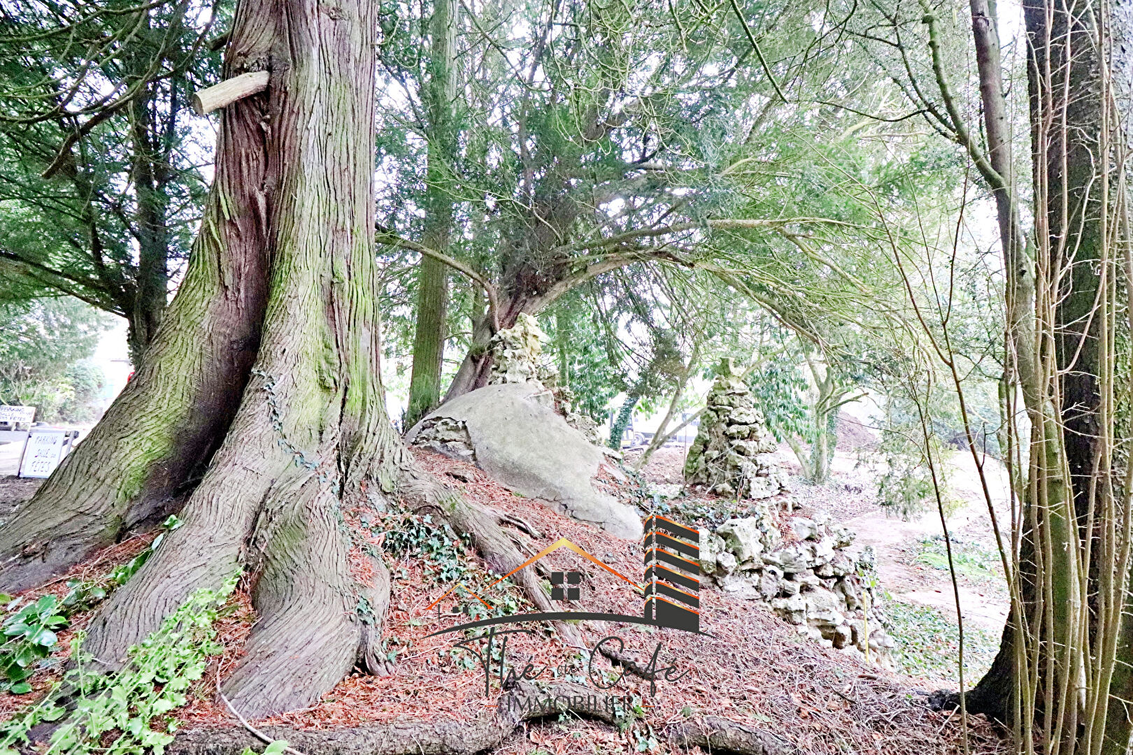 Photo LESSY : AU COEUR DU VILLAGE MAGNIFIQUE APPARTEMENT F3/4 A AMENAGER image 6/6