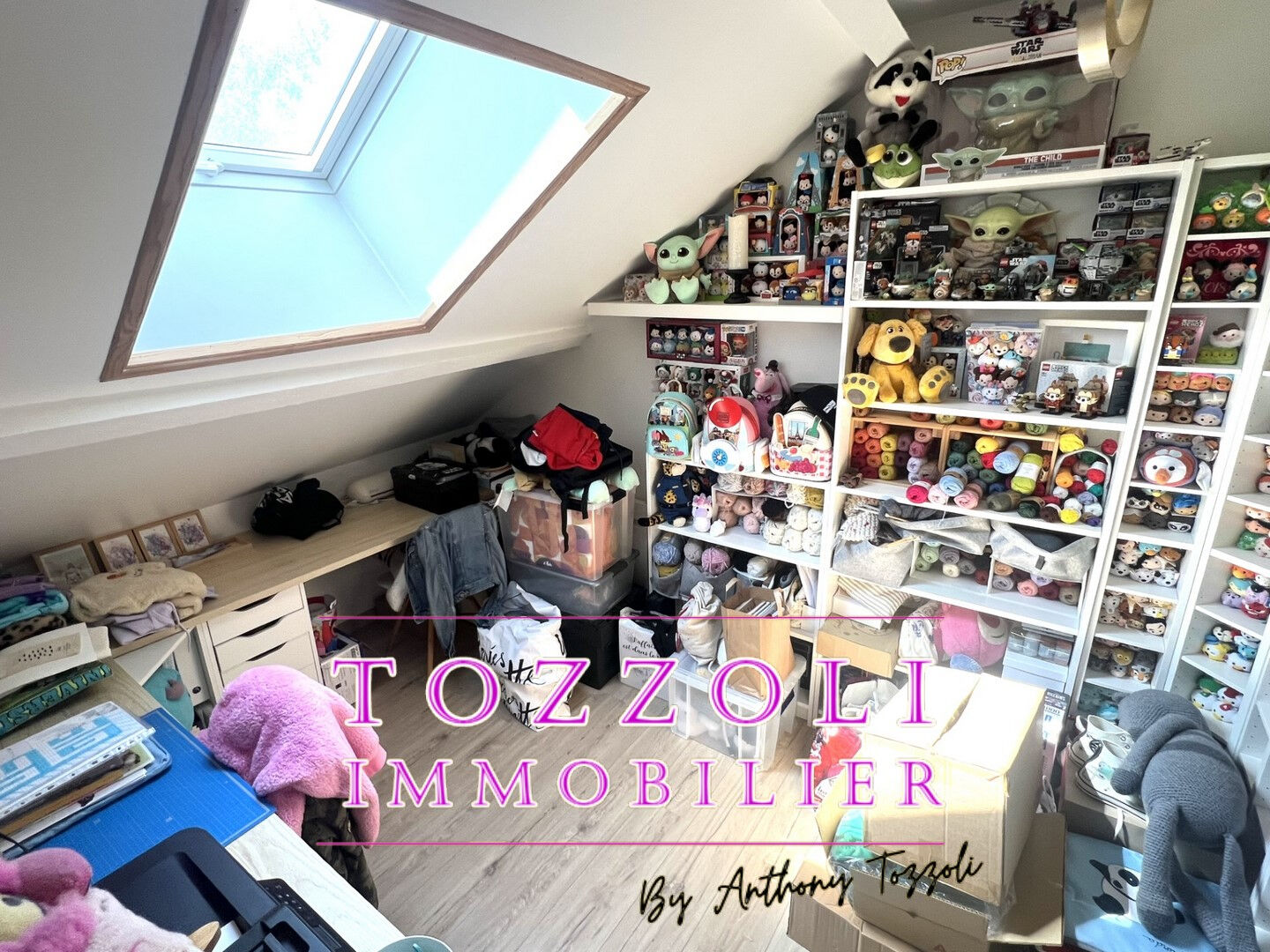 Photo Maison Siccieu Saint Julien Et Carisieu 3 pièce(s) image 6/6