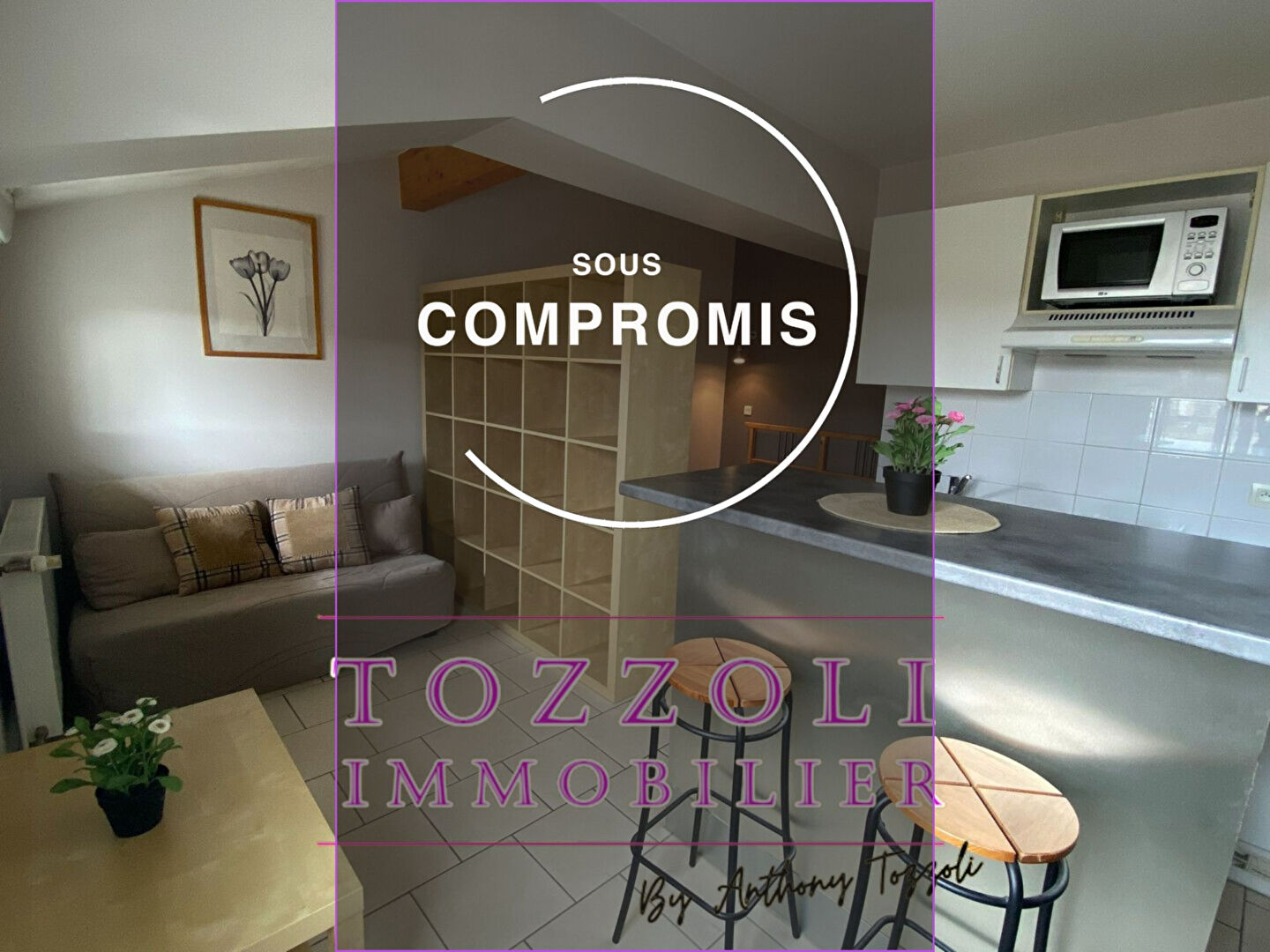 Agence immobilière de TOZZOLI IMMOBILIER - TOZZOLI IMMOBILIER