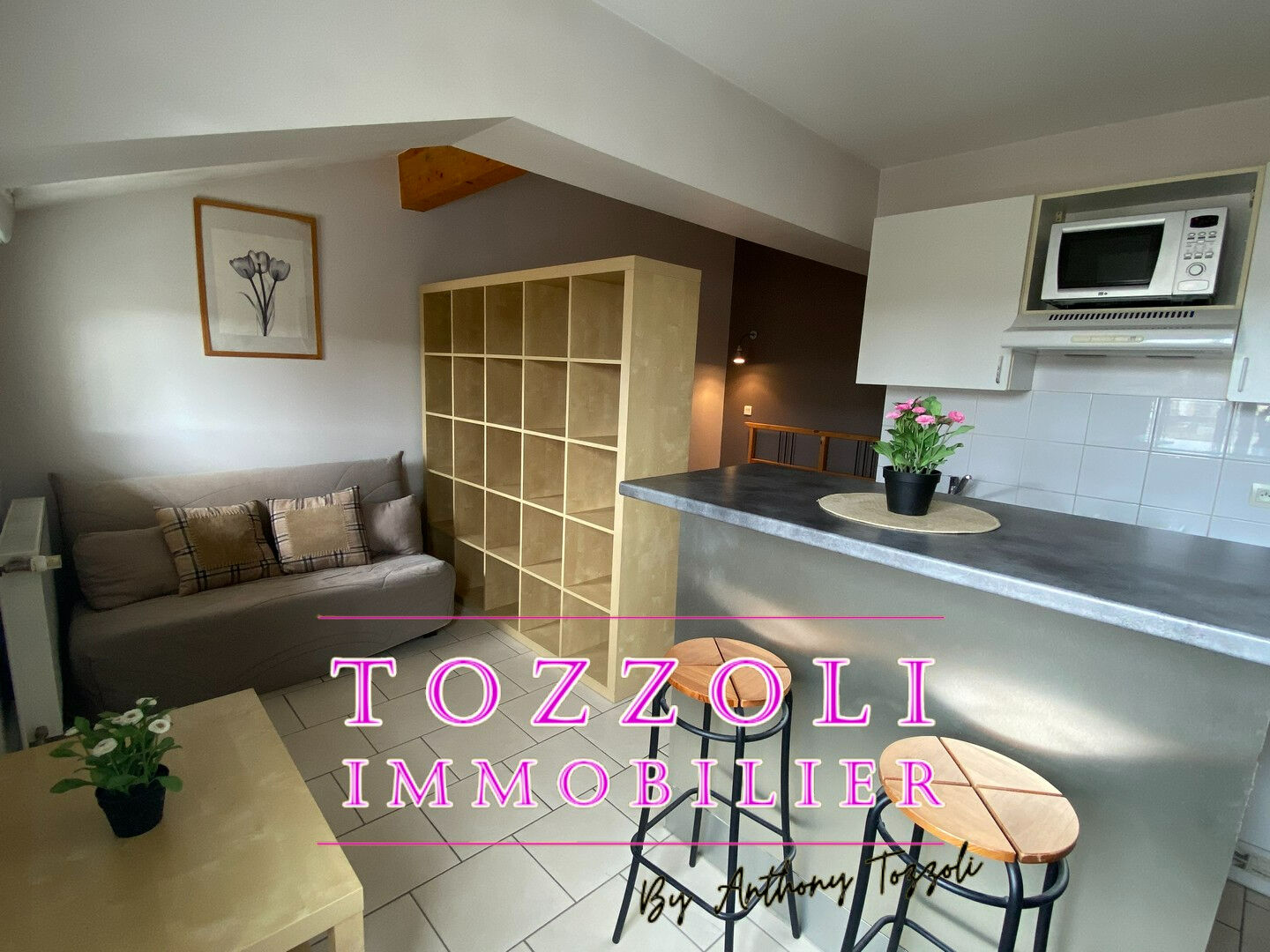 Agence immobilière de TOZZOLI IMMOBILIER - TOZZOLI IMMOBILIER