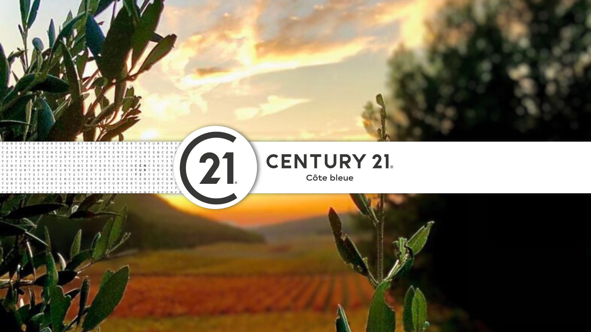 Divers à vendre - 320.0 m2 - 13 - Bouches-du-Rhone