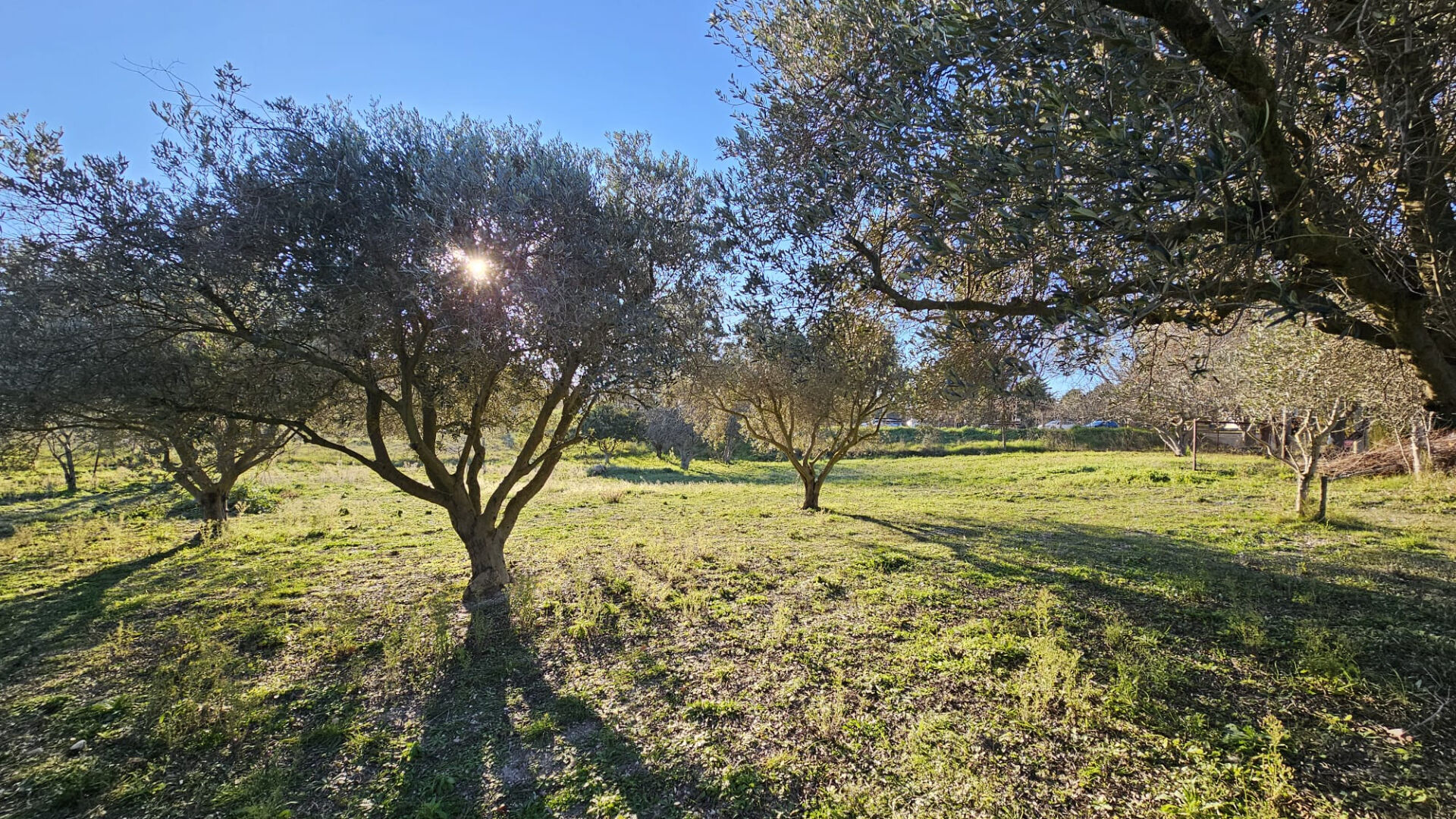 Divers à vendre - 150.0 m2 - 13 - Bouches-du-Rhone