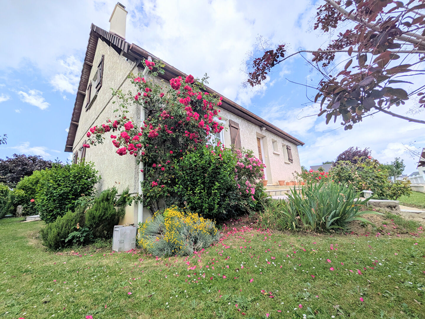 Agence immobilière de BIN - TRANSAC IMMO Caen - TRANSAC IMMO
