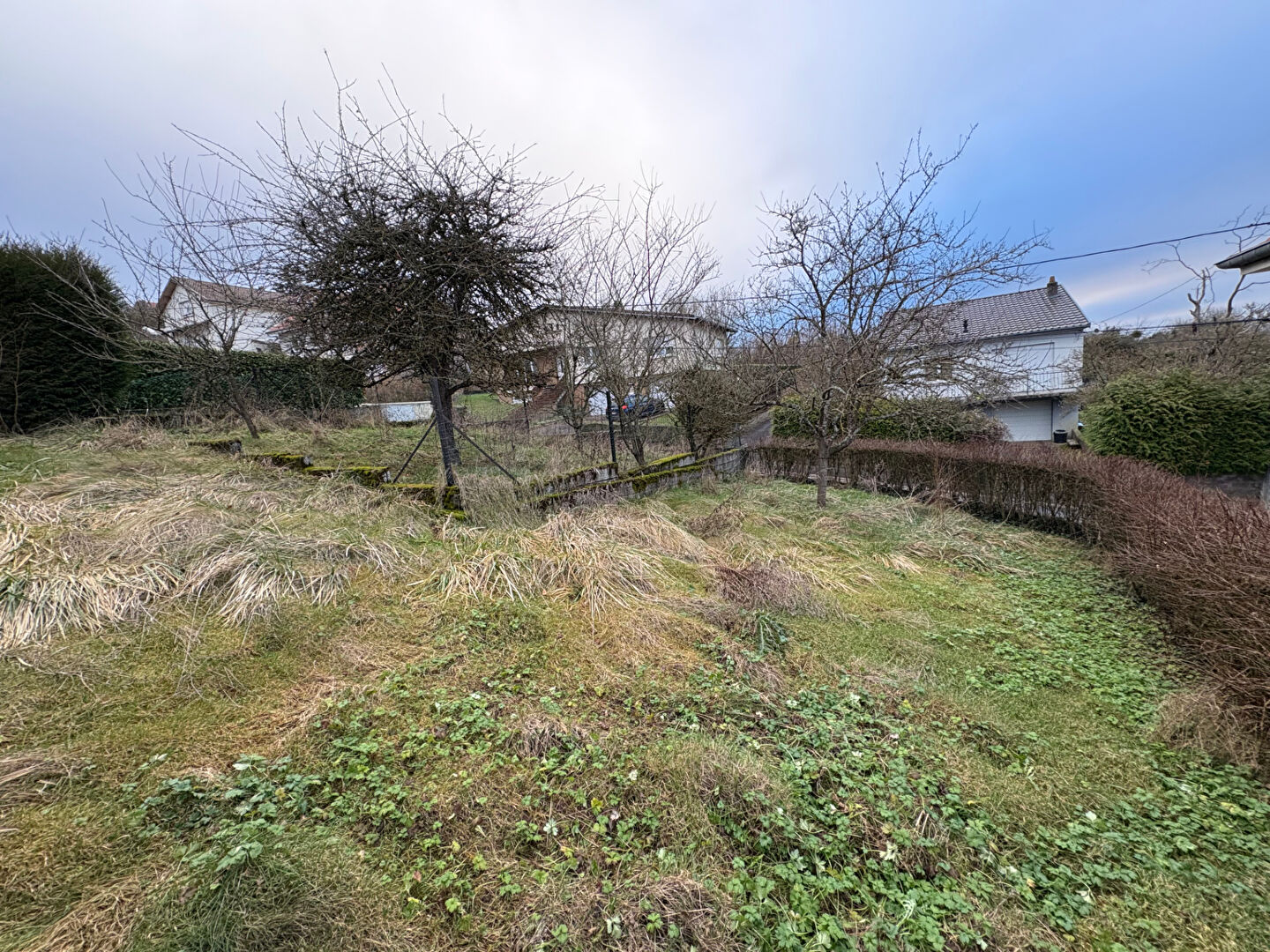 Photo Terrain Hors lotissement Marange Silvange image 3/6