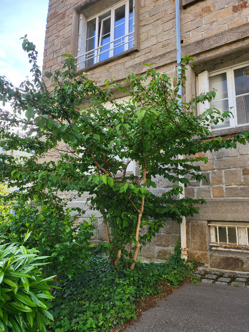 Agence immobilière de UN NOUVEAU CHEZ VOUS Pornic