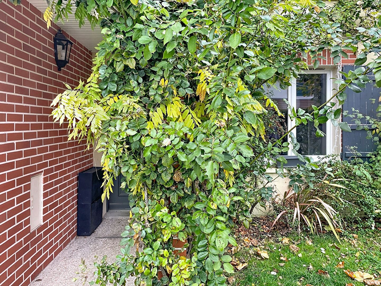 Agence immobilière de VAL DE SEINE TRANSACTIONS BIHOREL