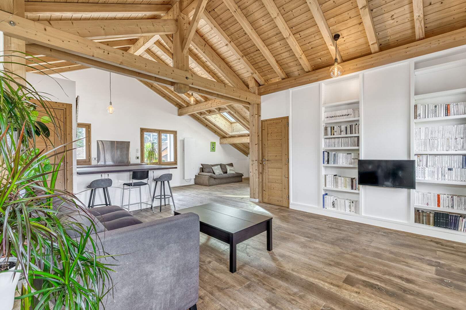 Photo ANNECY LE VIEUX (Albigny / Petit Port) - Appartement esprit loft image 1/6