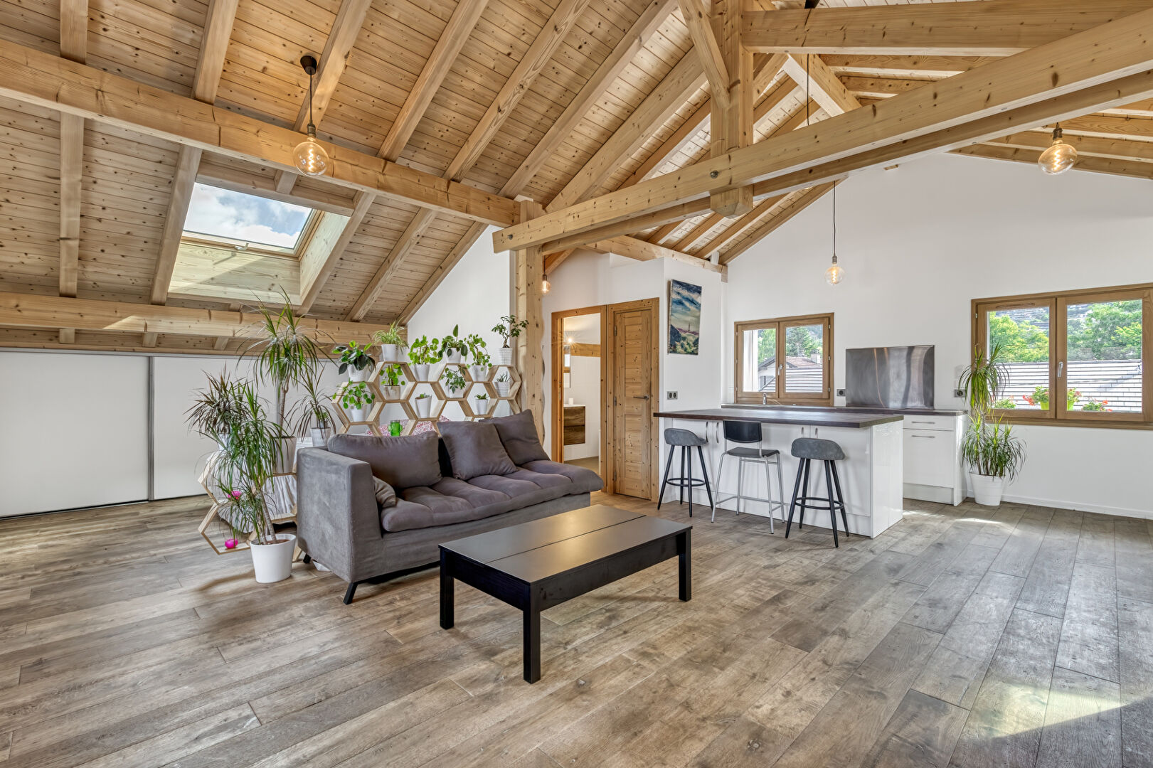 Photo ANNECY LE VIEUX (Albigny / Petit Port) - Appartement esprit loft image 4/6